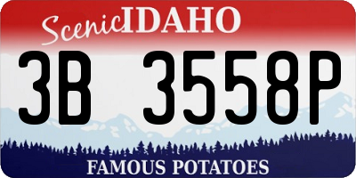 ID license plate 3B3558P