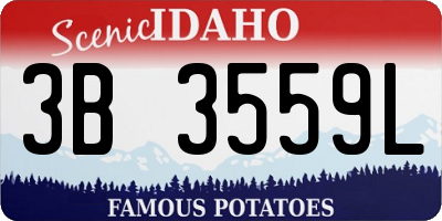 ID license plate 3B3559L