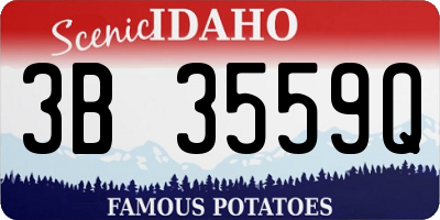 ID license plate 3B3559Q