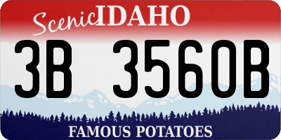 ID license plate 3B3560B