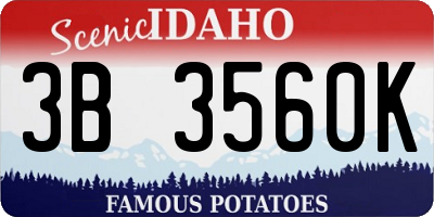 ID license plate 3B3560K