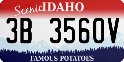 ID license plate 3B3560V