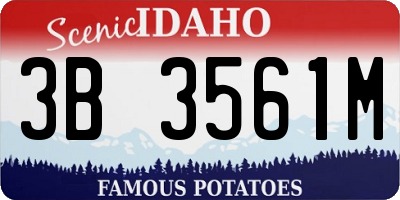 ID license plate 3B3561M