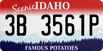 ID license plate 3B3561P