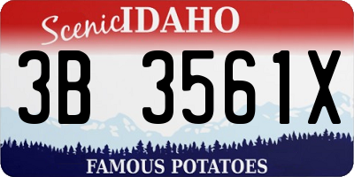 ID license plate 3B3561X