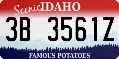 ID license plate 3B3561Z