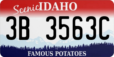 ID license plate 3B3563C