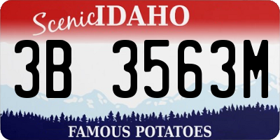 ID license plate 3B3563M