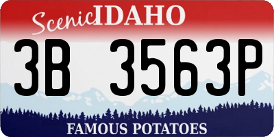 ID license plate 3B3563P