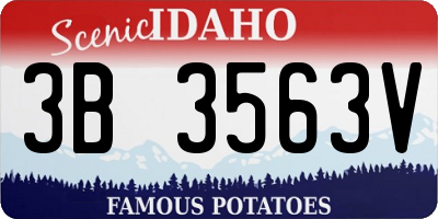 ID license plate 3B3563V