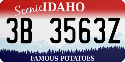 ID license plate 3B3563Z