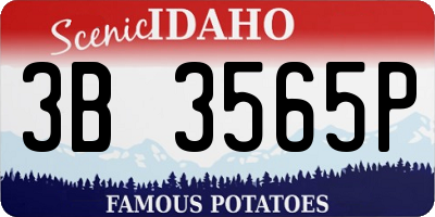 ID license plate 3B3565P