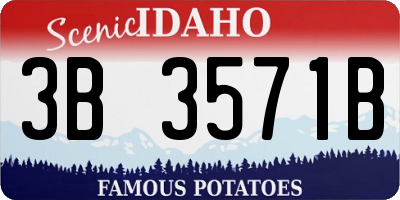 ID license plate 3B3571B
