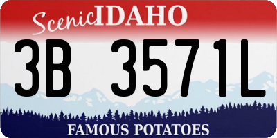ID license plate 3B3571L