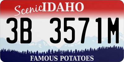 ID license plate 3B3571M