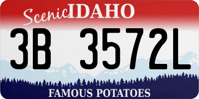 ID license plate 3B3572L