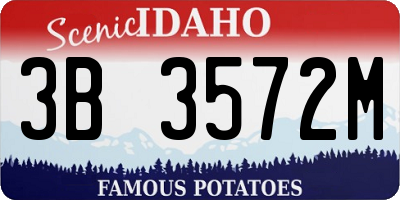 ID license plate 3B3572M