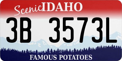 ID license plate 3B3573L