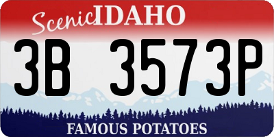 ID license plate 3B3573P