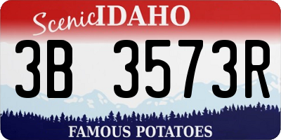 ID license plate 3B3573R