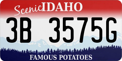 ID license plate 3B3575G