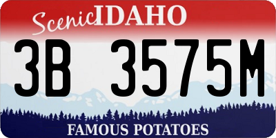 ID license plate 3B3575M
