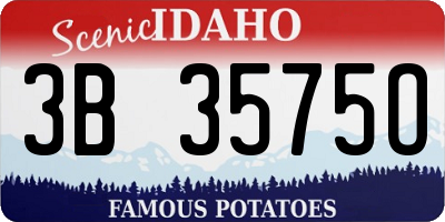 ID license plate 3B3575O