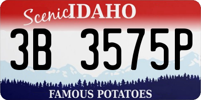 ID license plate 3B3575P