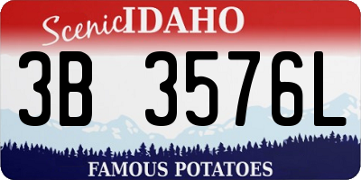 ID license plate 3B3576L
