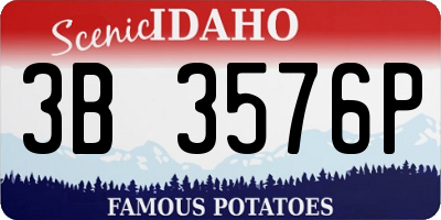 ID license plate 3B3576P