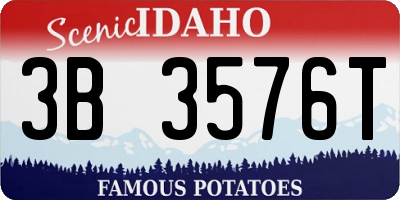 ID license plate 3B3576T