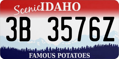 ID license plate 3B3576Z