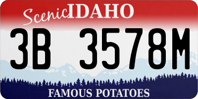 ID license plate 3B3578M