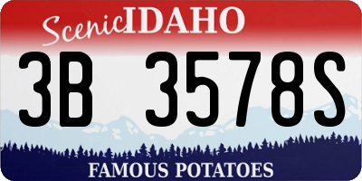 ID license plate 3B3578S