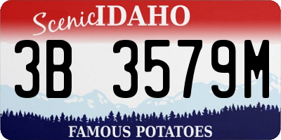 ID license plate 3B3579M