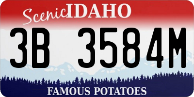 ID license plate 3B3584M