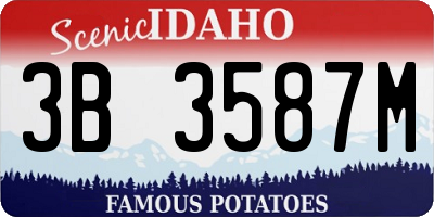 ID license plate 3B3587M