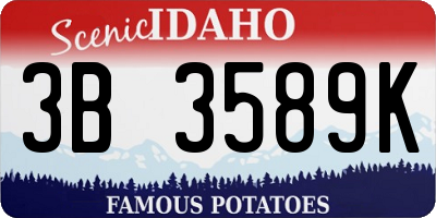 ID license plate 3B3589K