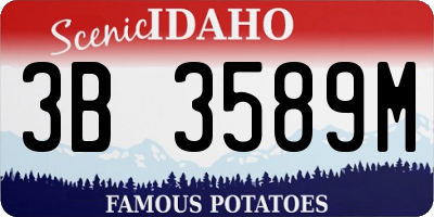 ID license plate 3B3589M