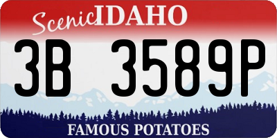 ID license plate 3B3589P