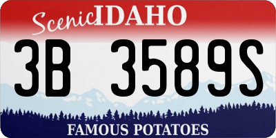 ID license plate 3B3589S