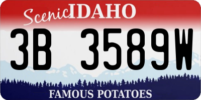 ID license plate 3B3589W
