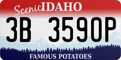 ID license plate 3B3590P