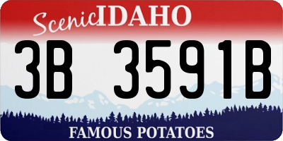 ID license plate 3B3591B