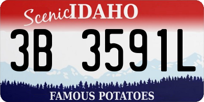 ID license plate 3B3591L