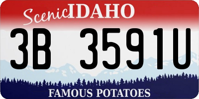ID license plate 3B3591U