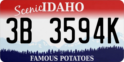 ID license plate 3B3594K