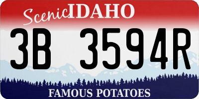 ID license plate 3B3594R