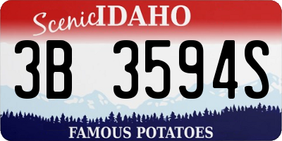 ID license plate 3B3594S