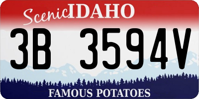 ID license plate 3B3594V